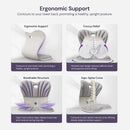 Ergonomic Chiar With Lumbar Support