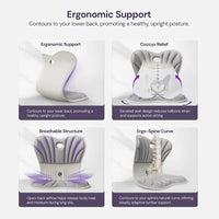 Ergonomic Chiar With Lumbar Support