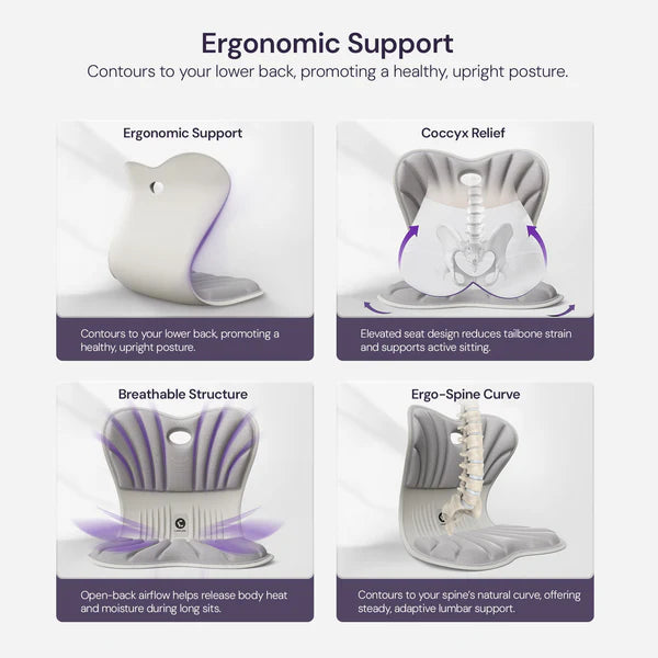 Ergonomic Chiar With Lumbar Support