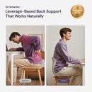 Ergonomic Chiar With Lumbar Support