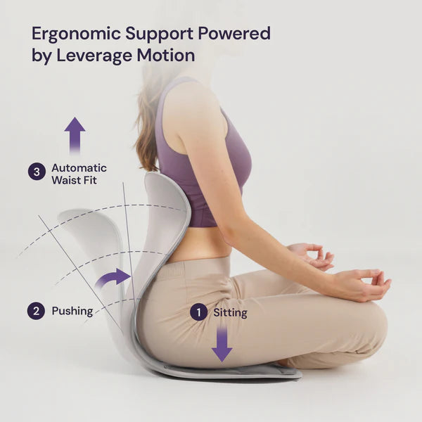 Ergonomic Chiar With Lumbar Support