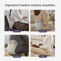 Ergonomic Chiar With Lumbar Support