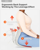 Ergonomic Chair with Lumbar Support