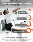 Ergonomic Back Support Chair for Home & Office